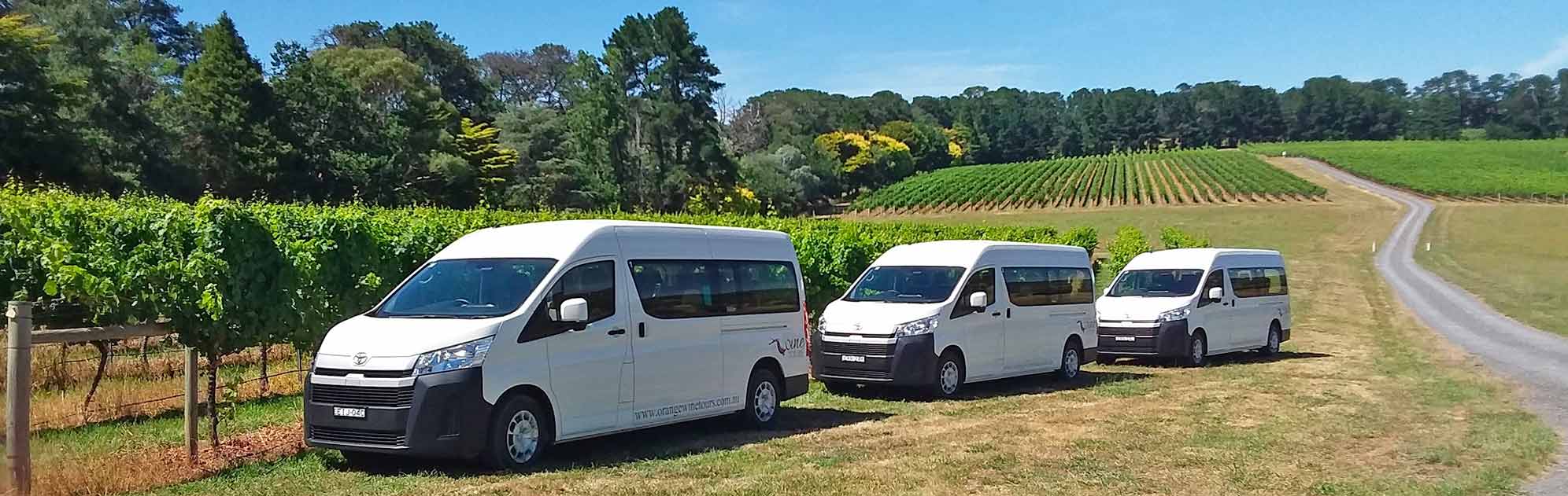 Three tour vans